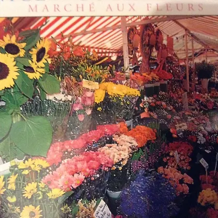 Διαμέρισμα Lympia